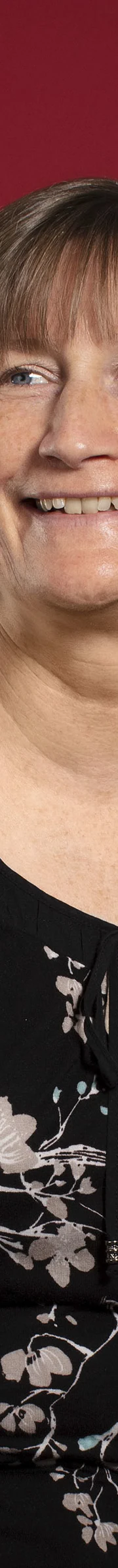 Sueodell